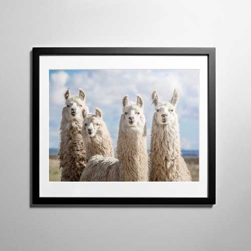 Framed Matted Poster 30x40cm (12"x16")