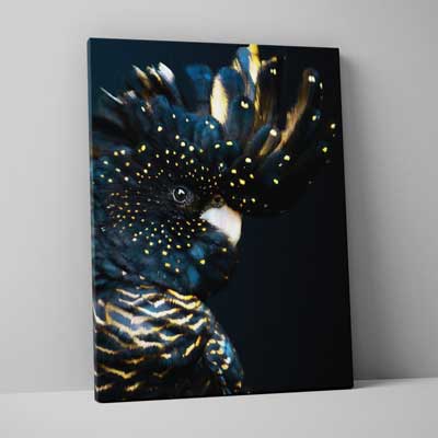 Classic Canvas 75x100cm (30"x40")