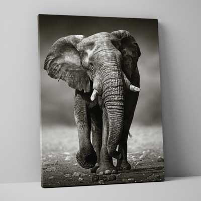 Classic Canvas 100x150cm (40"x60")