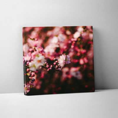 Classic Canvas 30x30cm (12"x12")