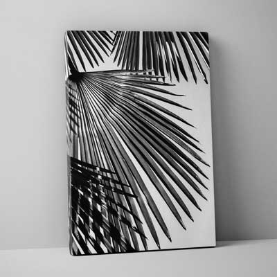 Classic Canvas 40x50cm (16"x20")