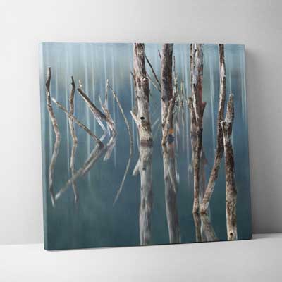 Classic Canvas 60x60cm (24"x24")