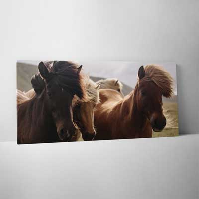 Classic Canvas 75x150cm (30"x60")