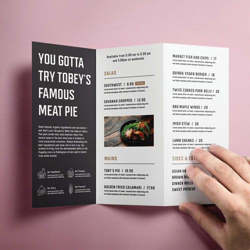 Brochure  DL printed example