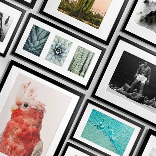 Framed Prints & Posters