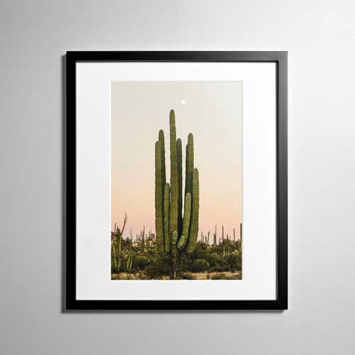 Framed Poster 25x38 - Portrait