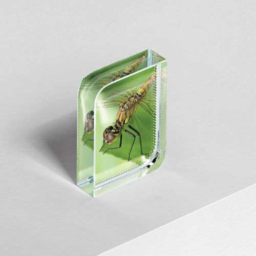 Glass Block 6x8 - Portrait