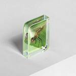 Glass Block 6x8 - Portrait