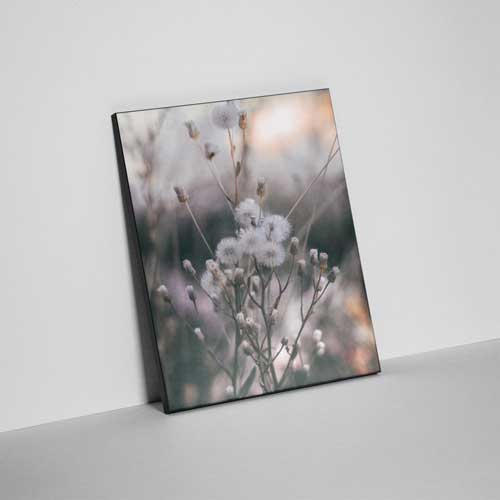 Wood Photo Panel 28x35 - Portrait